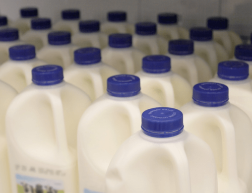 Maquinaria para la industria quesera: producción y pasteurización de la leche